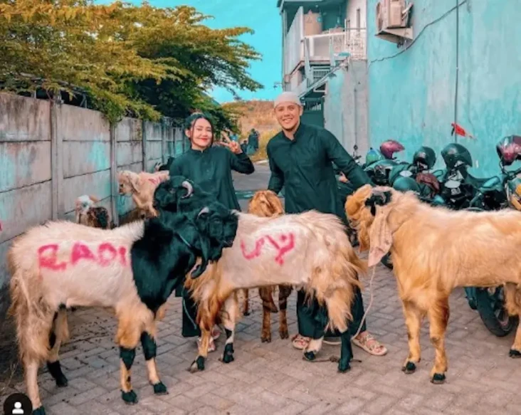 Pilih Kambing Ketimbang...