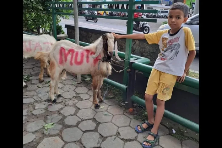 Mengharukan, Murid Kelas...
