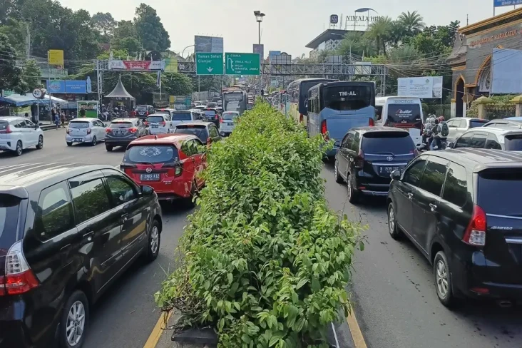Puncak Bogor Padat,...