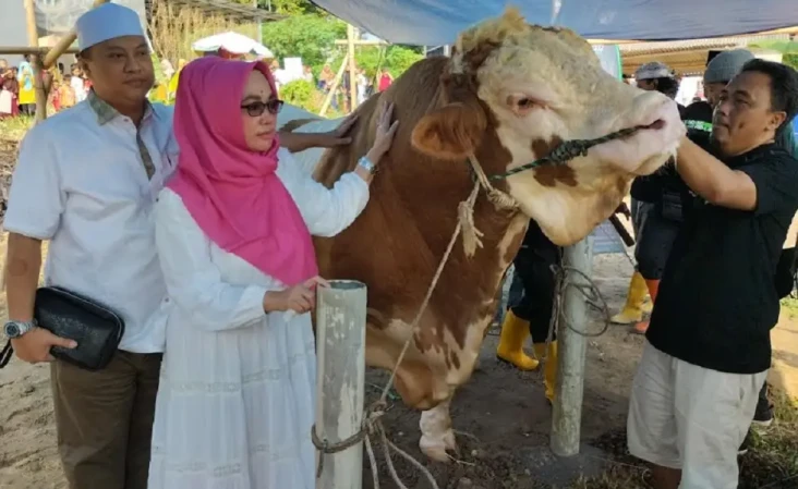 Bacaleg Perindo Ratu...