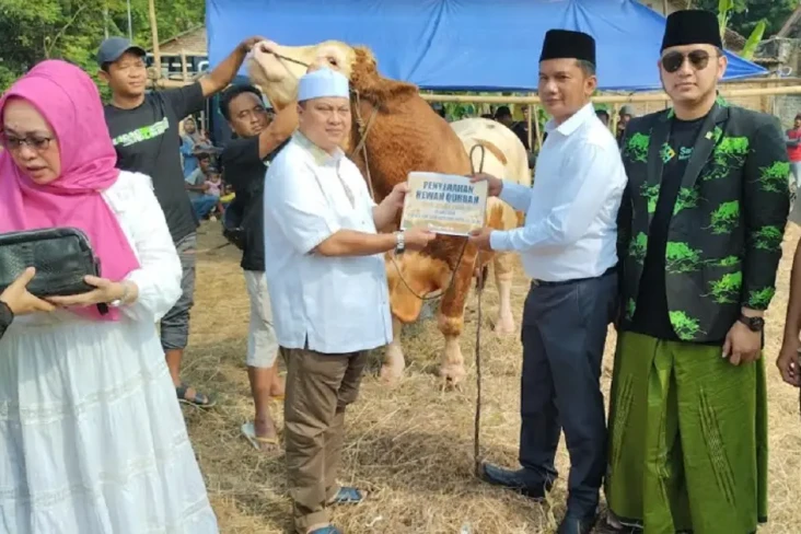 Dapat Sapi Kurban dari...