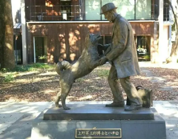 10 Fakta Menarik Anjing...
