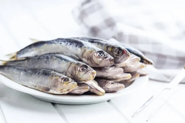5 Fakta Ikan Sarden...