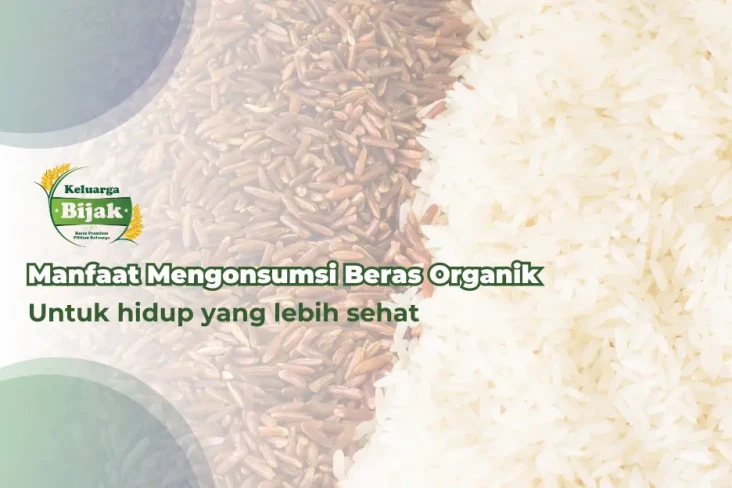 Manfaat Mengonsumsi...