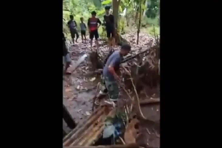 Ngeri! Teror Anjing...