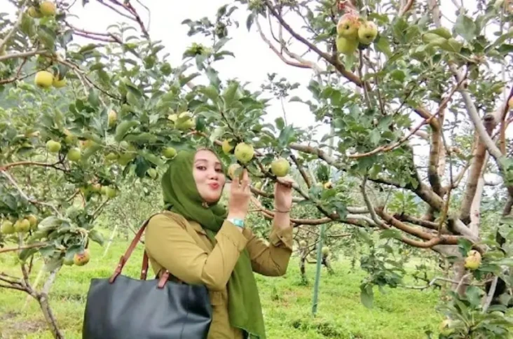 3 Destinasi Agrowisata...