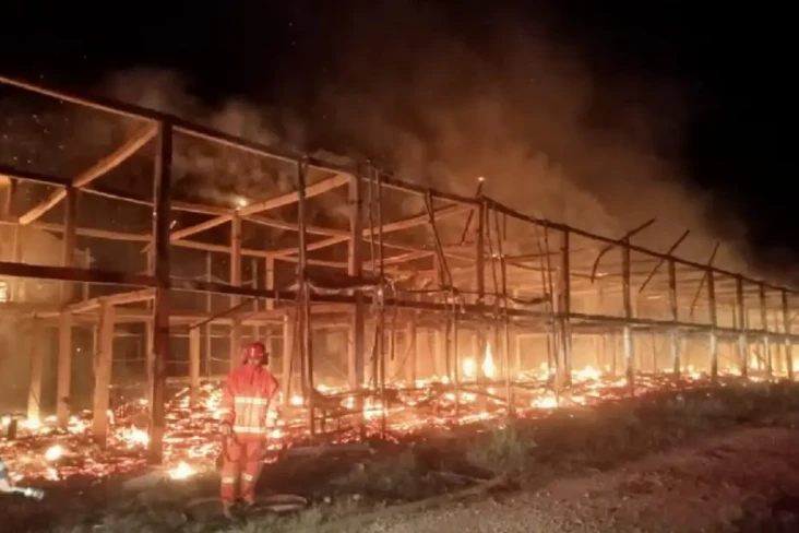 Tragis! Kandang Terbakar,...