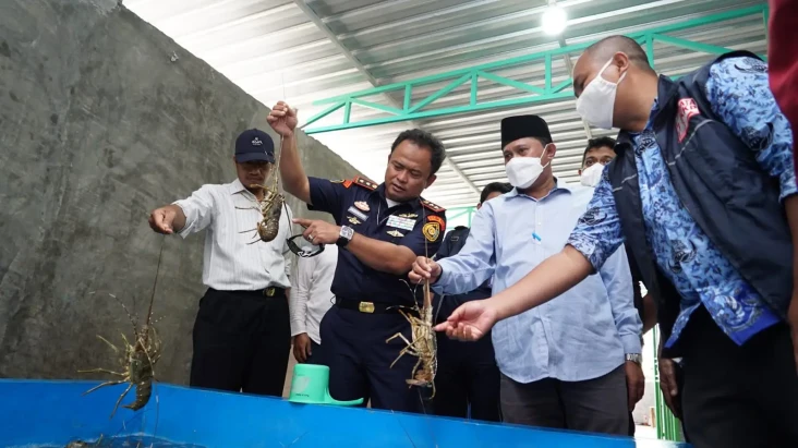 KKP Identifikasi Pola...