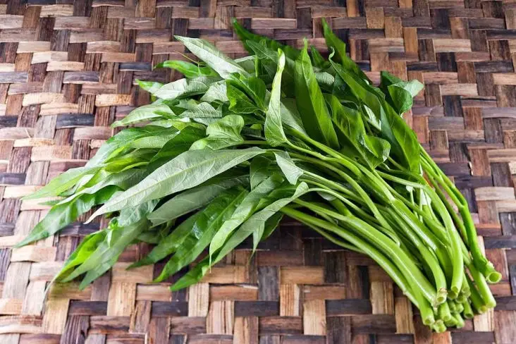 Apakah Kangkung Menyebabkan...