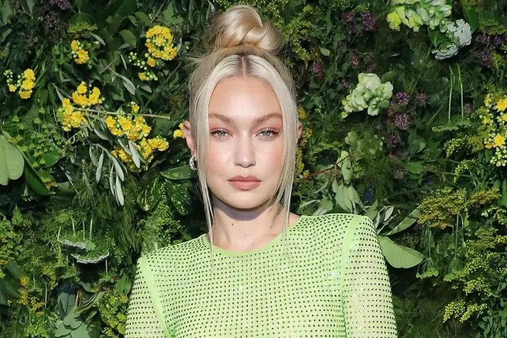 Gigi Hadid Ditangkap...