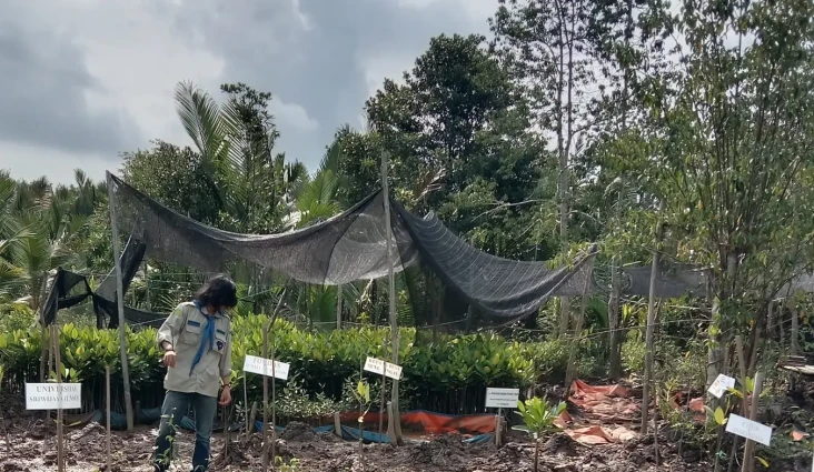 Wujudkan Indonesia’s...