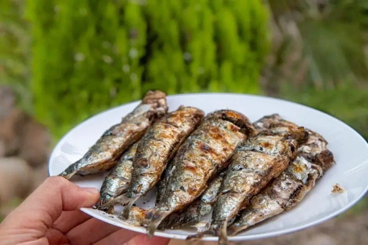 Mengenal JAS-BUKKET,...