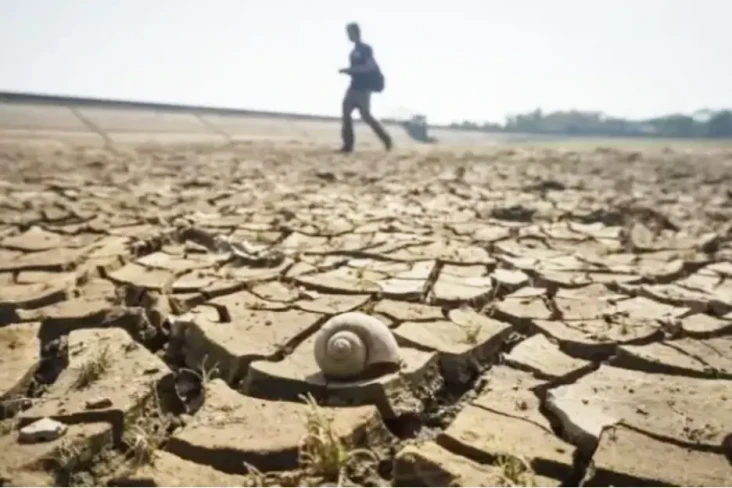 Dampak El Nino, Wilayah...