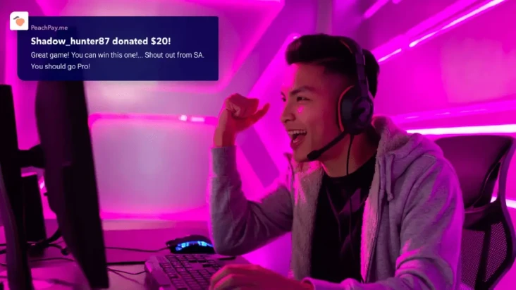 5 Layanan Donasi Streamer...