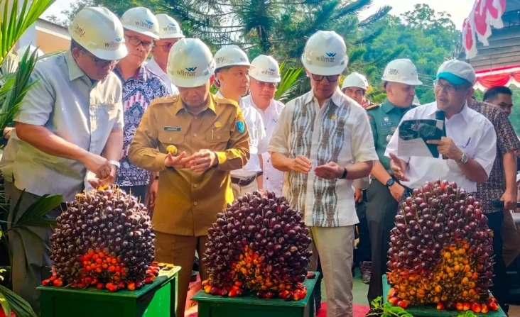 OJK Dorong Program Kemitraan...