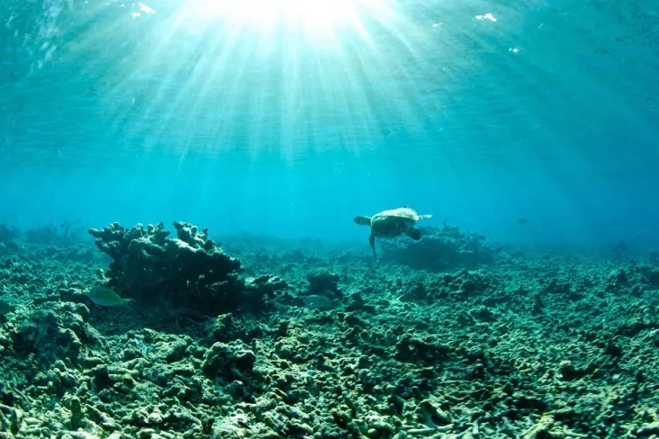 Lebih Hangat, Suhu Laut...