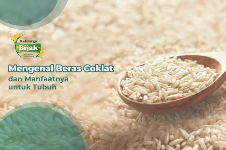 Mengenal Beras Cokelat...