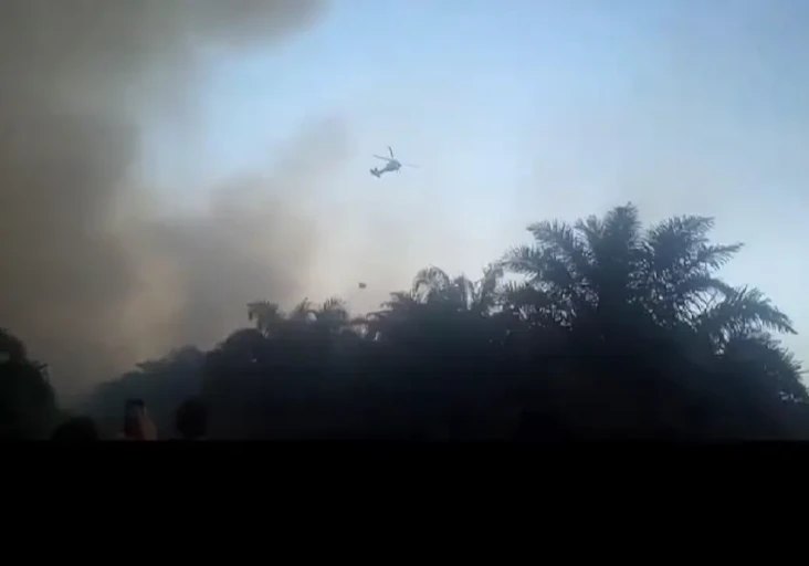 Kebakaran Lahan di Muaro...