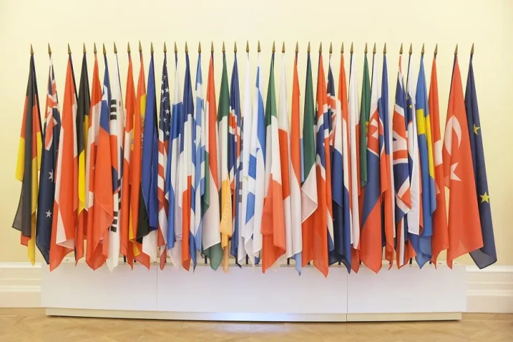 Bukan BRICS, tapi Organisasi...