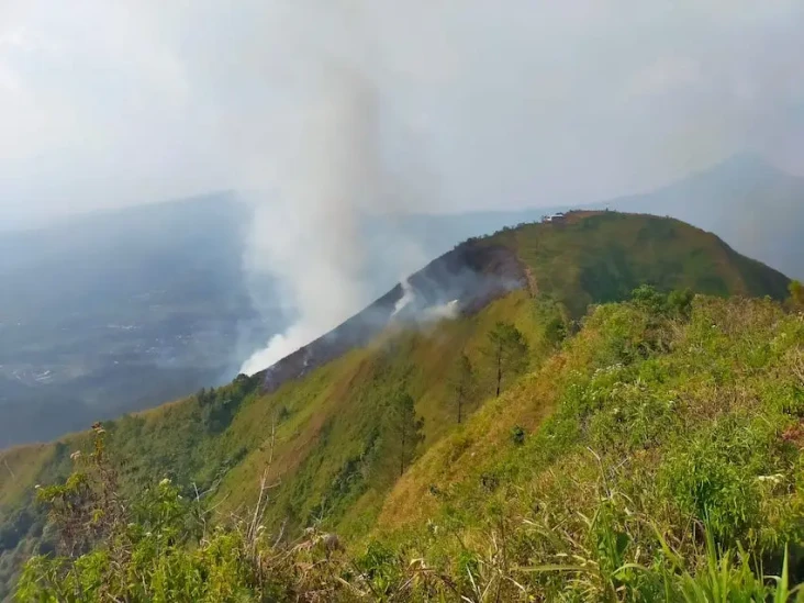 Polisi Selidiki Penyebab...