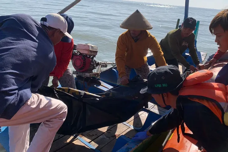 Perahu Terbalik, Pencari...
