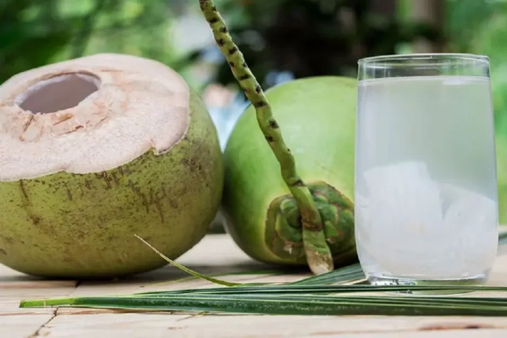 Manfaat Air Kelapa Muda...