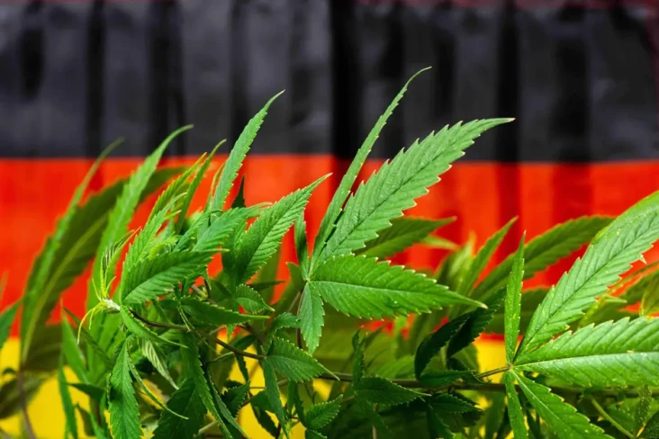 Pemerintah Jerman Ajukan...