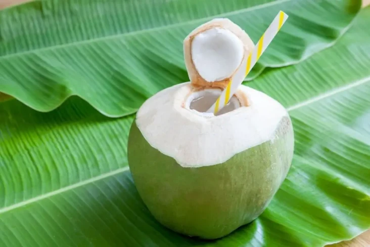 Apakah Air Kelapa Bisa...
