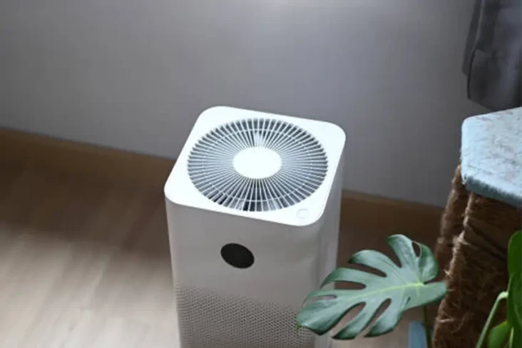 Air Purifier vs Tanaman...