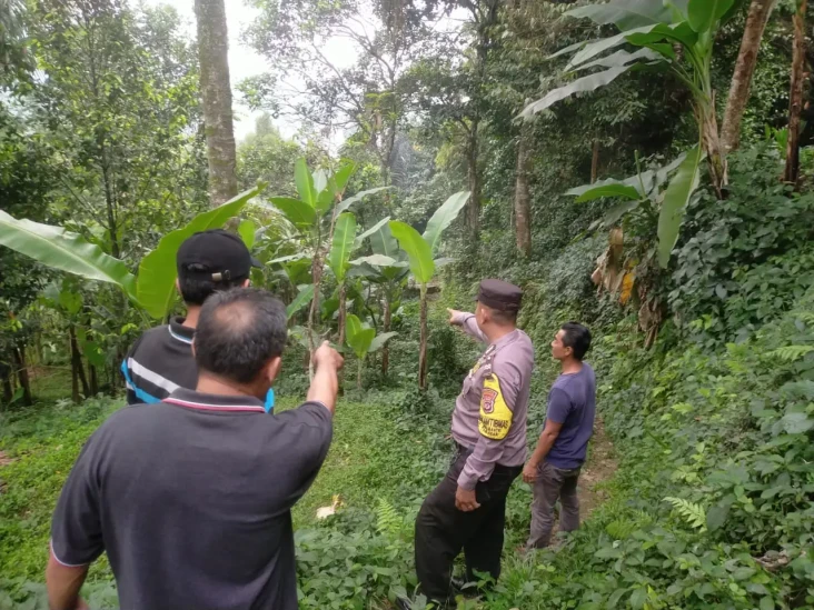Terpeleset dari Tebingan...