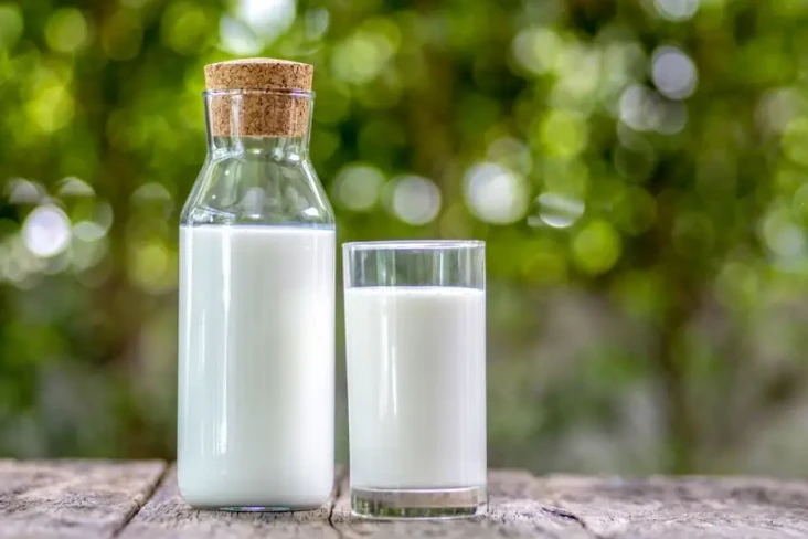 Heboh Susu Kambing Disebut...