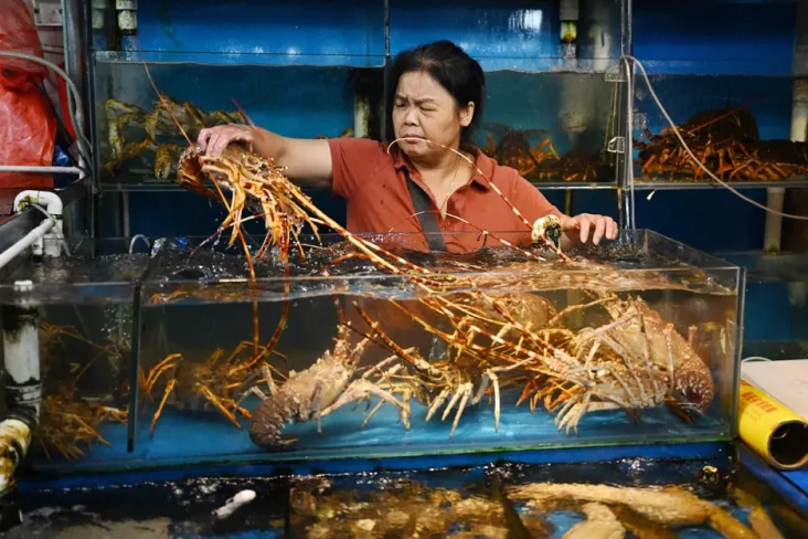 China Larang Semua Makanan...