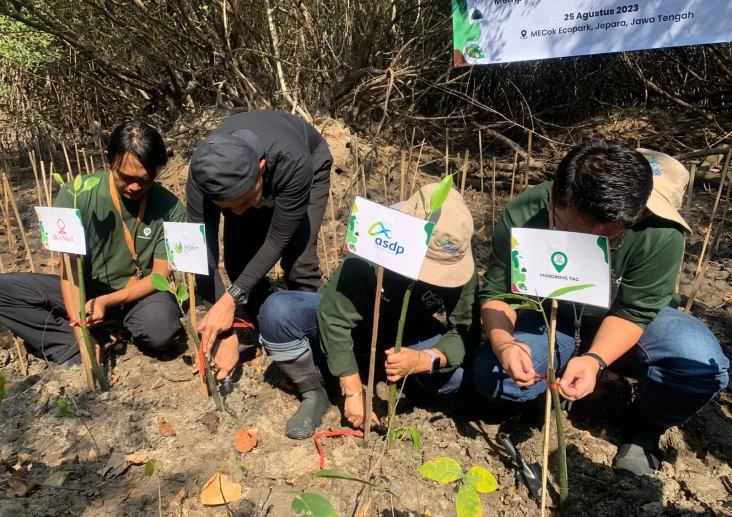 Tanam 1.000 Bibit Mangrove,...