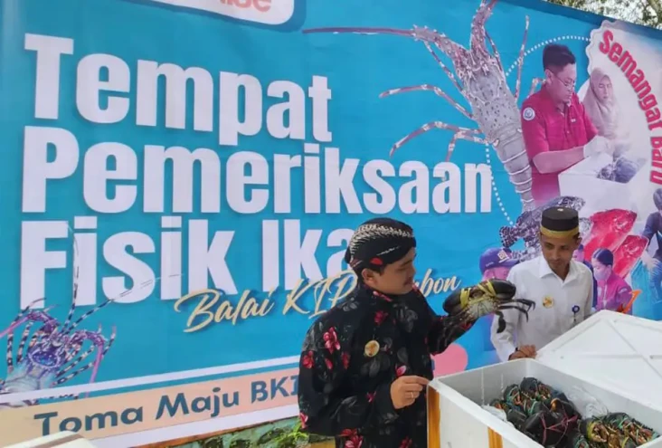 1,7 Ton Kepiting Bakau...