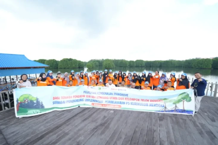 Manfaat Konservasi Mangrove...