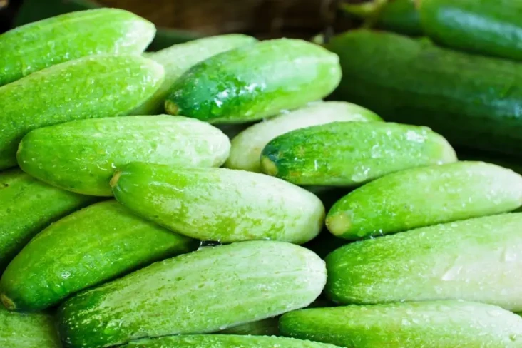 6 Makanan yang Tidak...