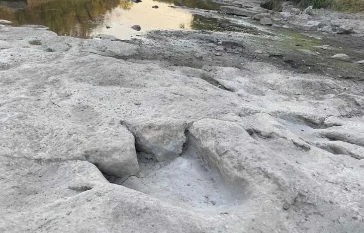 Jejak Dinosaurus Terpanjang...