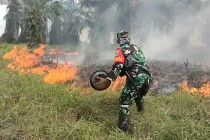 Satgas Karhutla Tangkap...