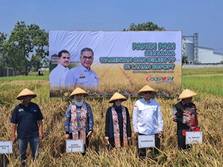 Kementan Pastikan Stok...
