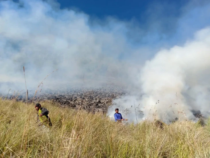 Kebakaran di Gunung...