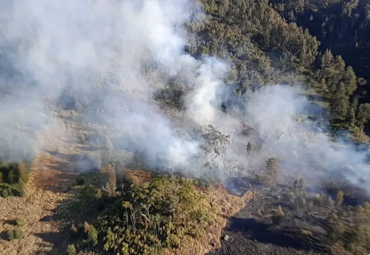 Karhutla di Gunung Arjuno...