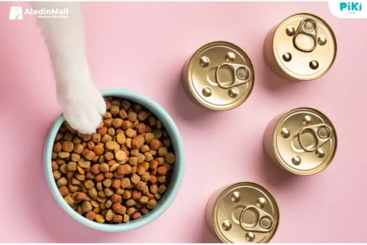Tips Beri Makanan Bernutrisi...