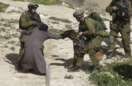 Tentara Israel Kian...