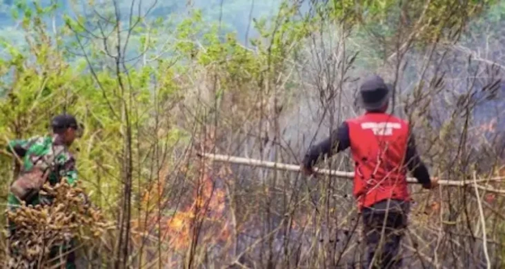 3,5 Hektare Hutan Sajang...