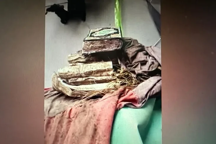 Lumajang Gempar! Belasan...