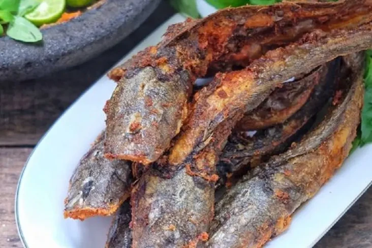 Apakah Ikan Lele Tinggi...