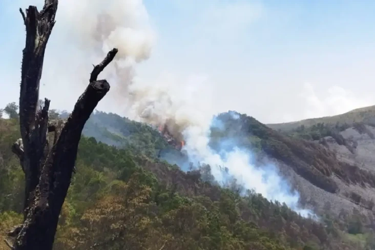 Penampakan Terkini Kebakaran...