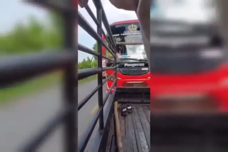 Viral Bus Dimintai Klakson...