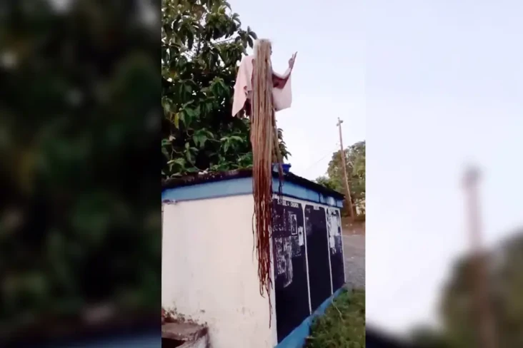 Punya Rambut Gimbal...