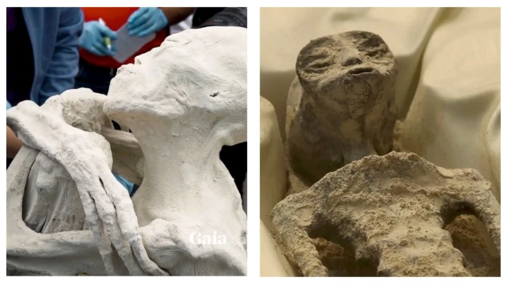Geger Mumi Alien Meksiko...